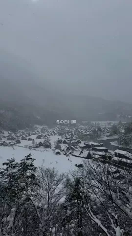 なみちゃん旅のTikTok投稿