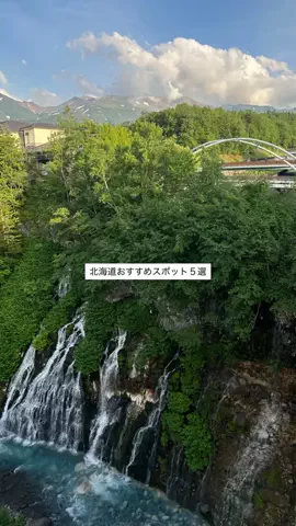 なみちゃん旅のTikTok投稿