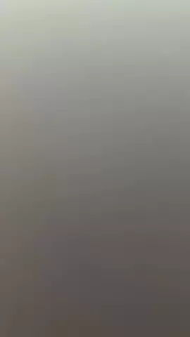 🍋のTikTok投稿