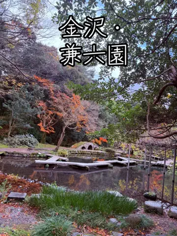 全国を旅するMIYAりん♬温泉&ホテル&アフヌンのTikTok投稿