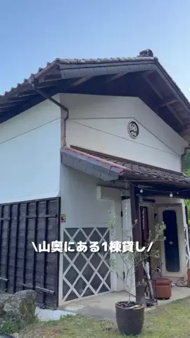 もちゆいのTikTok投稿