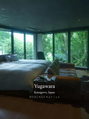 モグワイのTikTok投稿