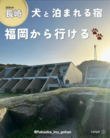 福岡|犬とおでかけのTikTok投稿