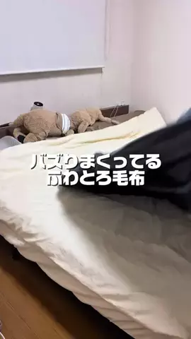 おらふ☃️❄️のTikTok投稿