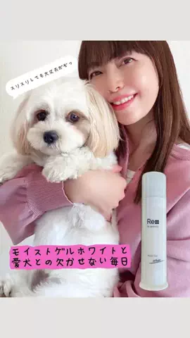 リダーマラボのTikTok投稿