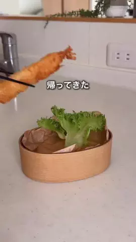ハレ弁のTikTok投稿