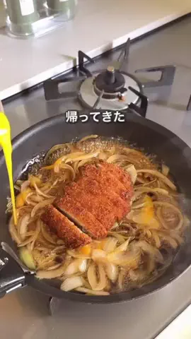 ハレ弁のTikTok投稿