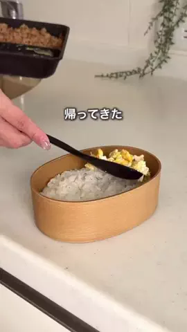ハレ弁のTikTok投稿