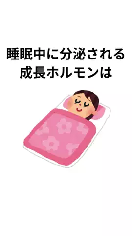 小ネタ提供くんのTikTok投稿