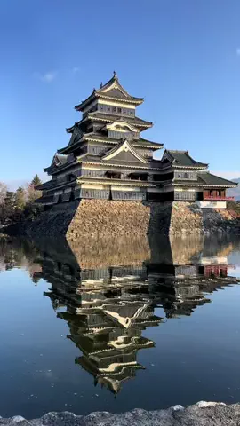 こは旅。✈️〜旅する家族〜🪿のTikTok投稿