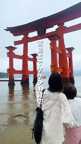 つこ🍋広島がすきすぎるOLのTikTok投稿