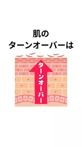 小ネタ提供くんのTikTok投稿
