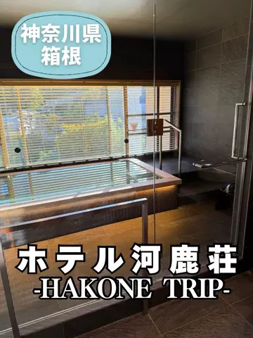 こは旅。✈️〜旅する家族〜🪿のTikTok投稿