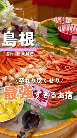 つこ🍋広島がすきすぎるOLのTikTok投稿