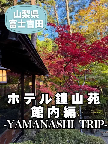 こは旅。✈️〜旅する家族〜🪿のTikTok投稿