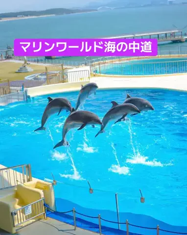 ホテル王👑のTikTok投稿