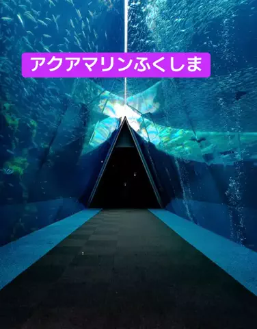 ホテル王👑のTikTok投稿