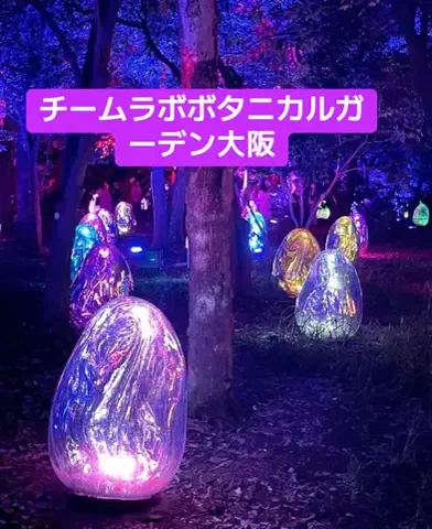 ホテル王👑のTikTok投稿