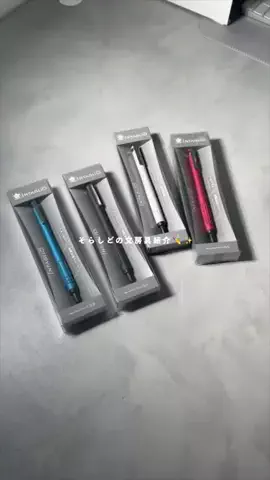 そらしどのTikTok投稿