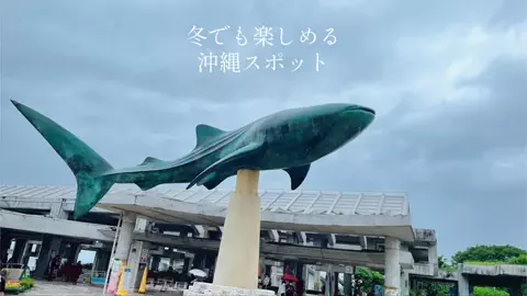 kiic_chのTikTok投稿