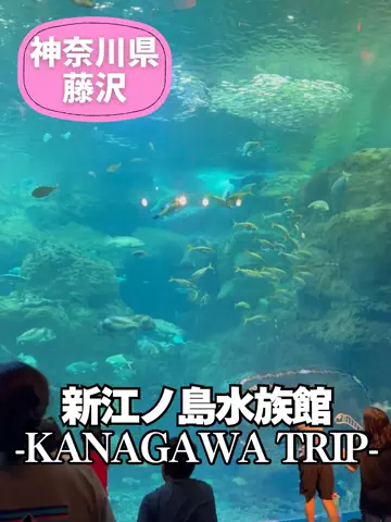 こは旅。✈️〜旅する家族〜🪿のTikTok投稿