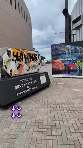 トアンもん　チャンネルのTikTok投稿
