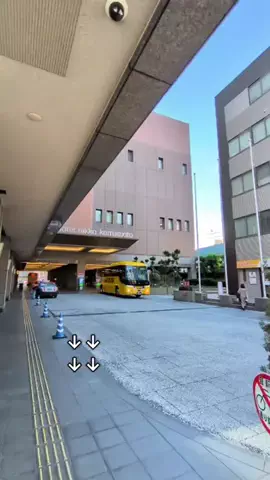 トアンもん　チャンネルのTikTok投稿