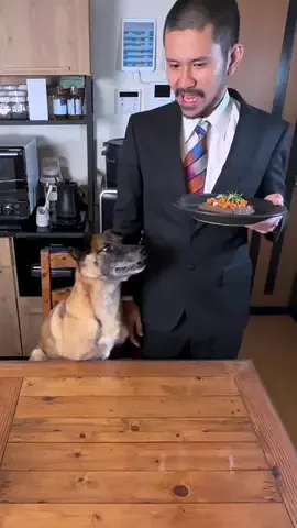 元野犬のアキのTikTok投稿