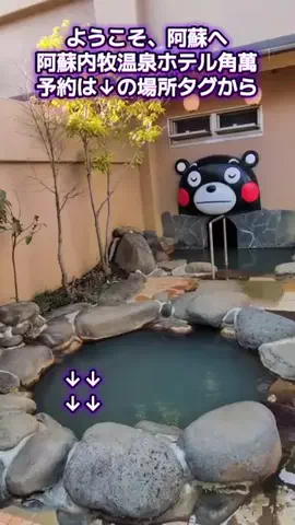 トアンもん　チャンネルのTikTok投稿
