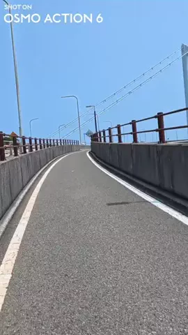 めにほびのTikTok投稿