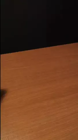 閣下(妻)と旦那の日常のTikTok投稿