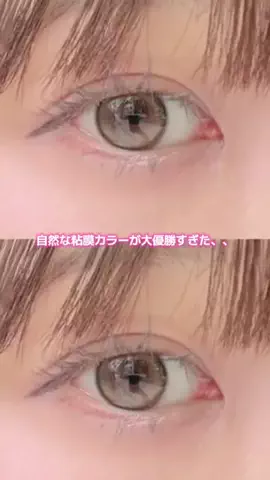 ほにょぺにょこのTikTok投稿