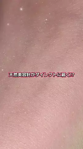 ほにょぺにょこのTikTok投稿