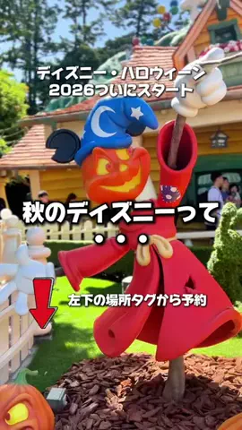 のりママのTikTok投稿