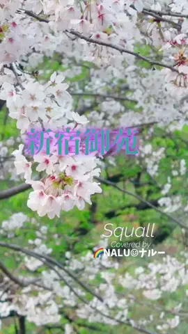 🌈NALU☺︎ナルーのTikTok投稿