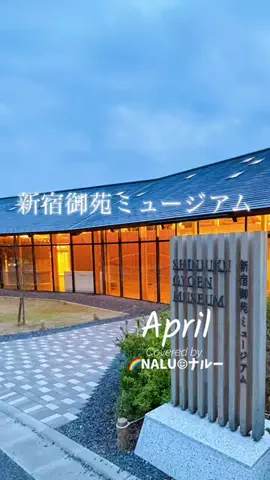 🌈NALU☺︎ナルーのTikTok投稿