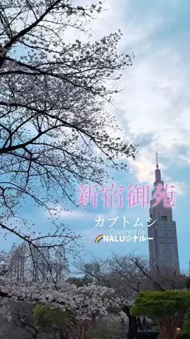 🌈NALU☺︎ナルーのTikTok投稿