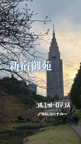 🌈NALU☺︎ナルーのTikTok投稿
