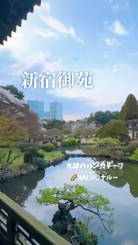 🌈NALU☺︎ナルーのTikTok投稿