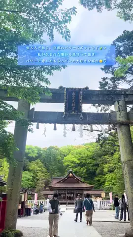 MoeriのTikTok投稿