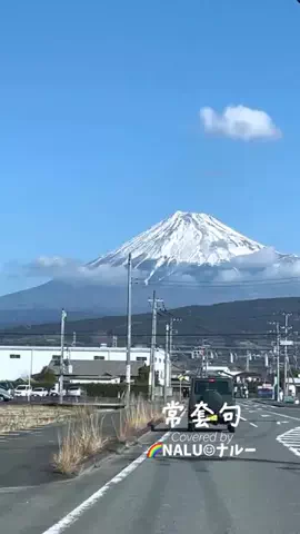 🌈NALU☺︎ナルーのTikTok投稿