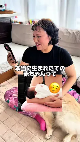 バービーのTikTok投稿