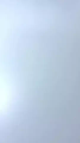 わん🐶のTikTok投稿