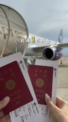 くろねこしろねこ😸海外旅行🌏のTikTok投稿