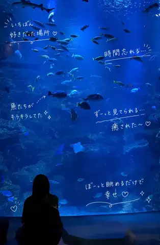 すいのTikTok投稿