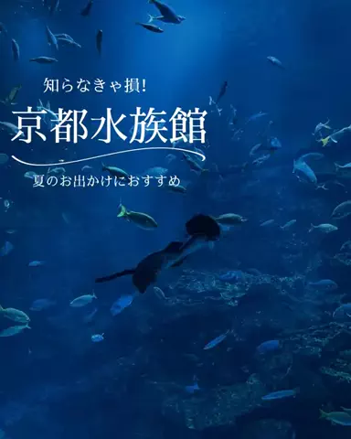 すいのTikTok投稿