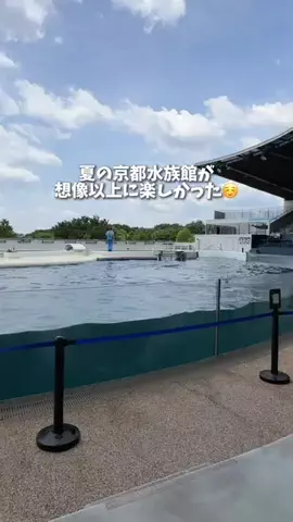 すいのTikTok投稿
