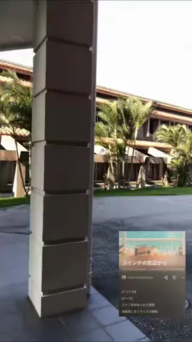zuenmeiのTikTok投稿