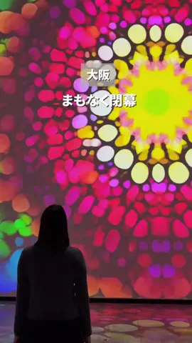 すいのTikTok投稿