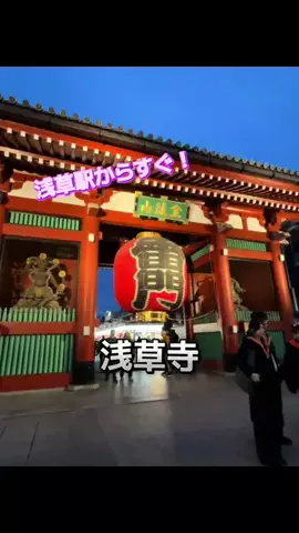 ☘️えりんこ☘️👽のTikTok投稿